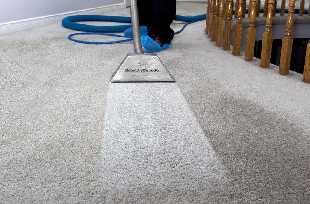 What is Carpet Cleaning? The Ultimate Guide