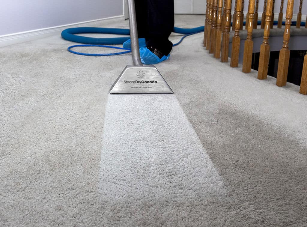 Carpet Cleaner Springburn