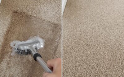 Carpet Cleaning vs. Carpet Replacement