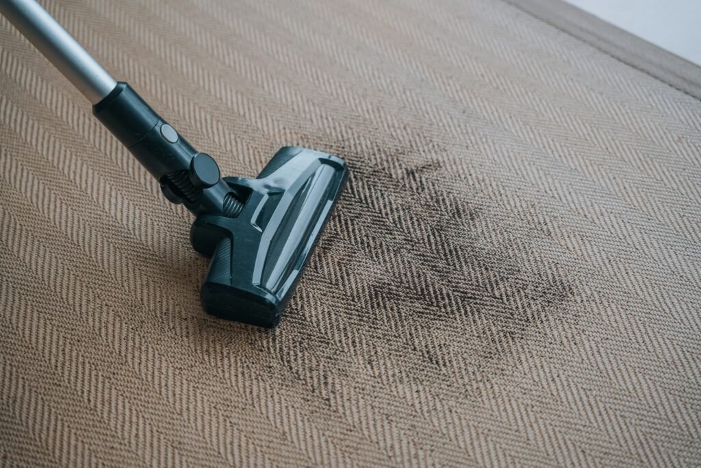 carpet cleaning flea removal